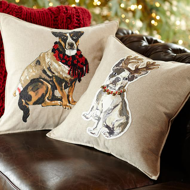 https://fairfieldworld.com/wp-content/uploads/2014/12/decorative-pillows-7.png